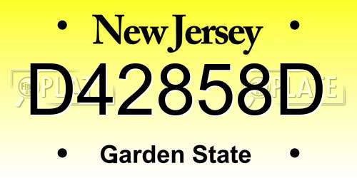D42858D New Jersey License Plate