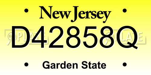 D42858Q New Jersey License Plate