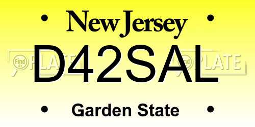 D42SAL New Jersey License Plate