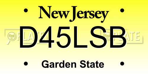D45LSB New Jersey License Plate