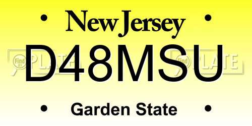 D48MSU New Jersey License Plate
