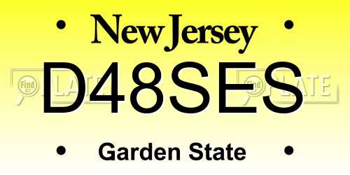 D48SES New Jersey License Plate