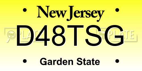D48TSG New Jersey License Plate
