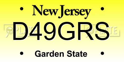 D49GRS New Jersey License Plate