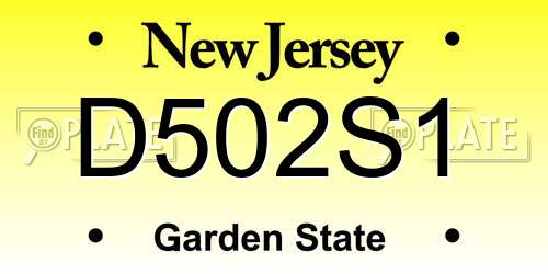 D502S1 New Jersey License Plate
