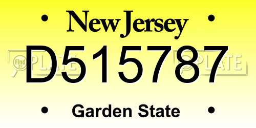 D515787 New Jersey License Plate