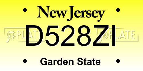 D528ZI New Jersey License Plate
