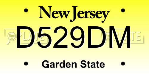 D529DM New Jersey License Plate