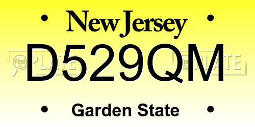 D529QM New Jersey License Plate