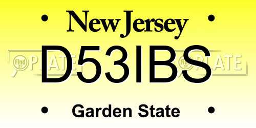 D53IBS New Jersey License Plate