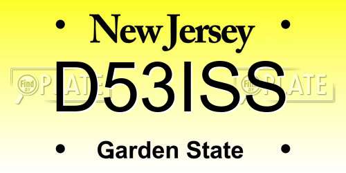 D53ISS New Jersey License Plate