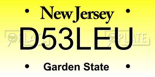 D53LEU New Jersey License Plate