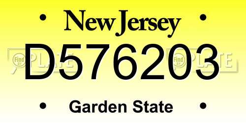 D576203 New Jersey License Plate