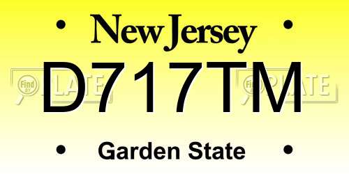 D717TM New Jersey License Plate