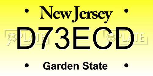 D73ECD New Jersey License Plate