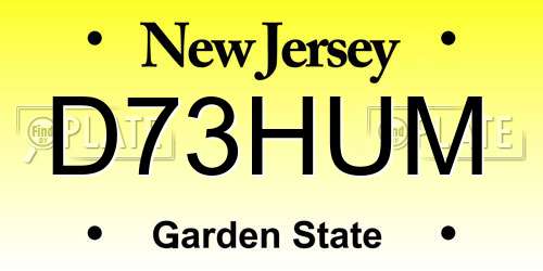 D73HUM New Jersey License Plate
