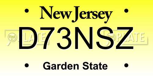 D73NSZ New Jersey License Plate
