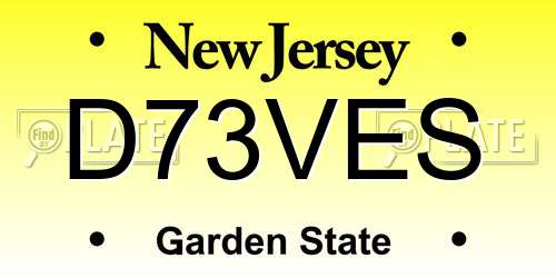 D73VES New Jersey License Plate