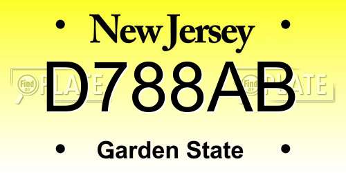 D788AB New Jersey License Plate
