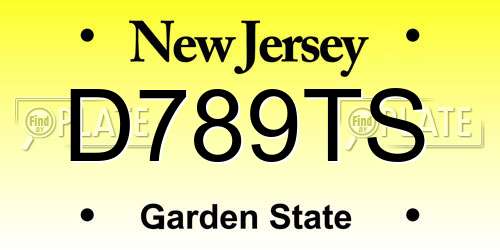 D789TS New Jersey License Plate