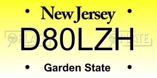 D80LZH New Jersey License Plate