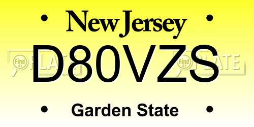 D80VZS New Jersey License Plate