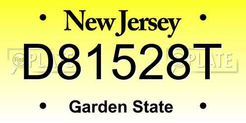 D81528T New Jersey License Plate