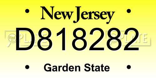 D818282 New Jersey License Plate