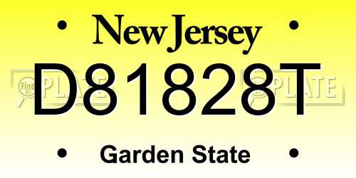 D81828T New Jersey License Plate