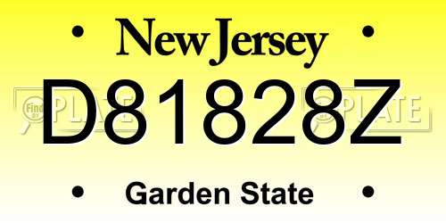 D81828Z New Jersey License Plate