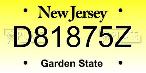 D81875Z New Jersey License Plate