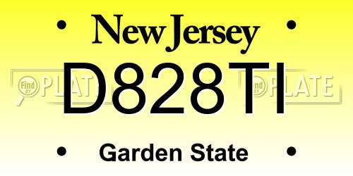 D828TI New Jersey License Plate