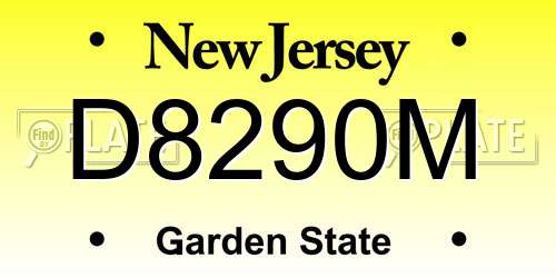 D8290M New Jersey License Plate
