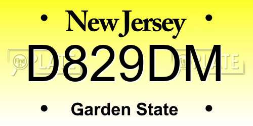 D829DM New Jersey License Plate