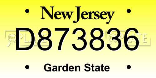 D873836 New Jersey License Plate