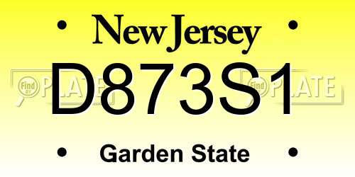 D873S1 New Jersey License Plate
