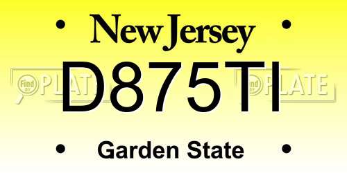 D875TI New Jersey License Plate