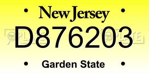 D876203 New Jersey License Plate