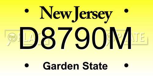 D8790M New Jersey License Plate