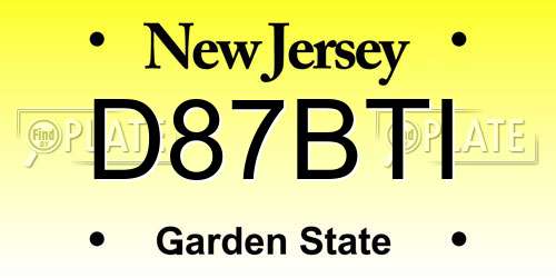 D87BTI New Jersey License Plate