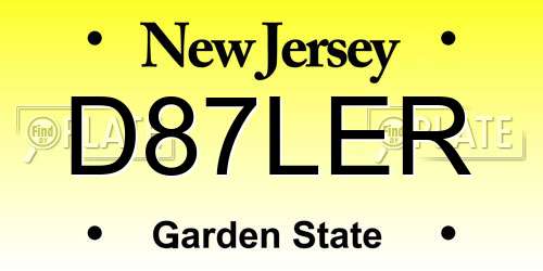 D87LER New Jersey License Plate