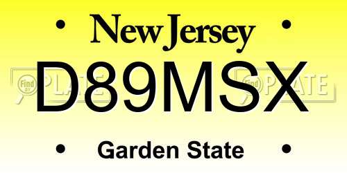 D89MSX New Jersey License Plate