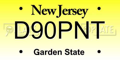 D90PNT New Jersey License Plate