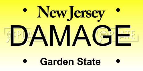 DAMAGE New Jersey License Plate