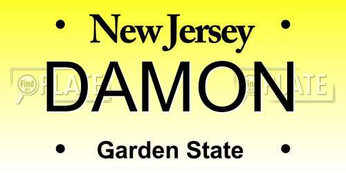 DAMON New Jersey License Plate