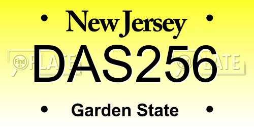 DAS256 New Jersey License Plate