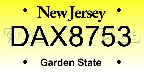 DAX8753 New Jersey License Plate