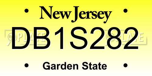 DB1S282 New Jersey License Plate