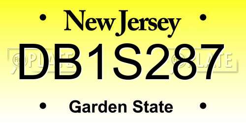 DB1S287 New Jersey License Plate