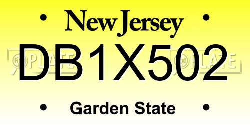 DB1X502 New Jersey License Plate